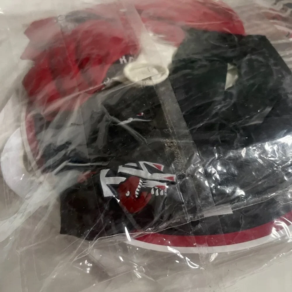 Toronto Raptors Basketball Party Kit - Picture 8 of 9